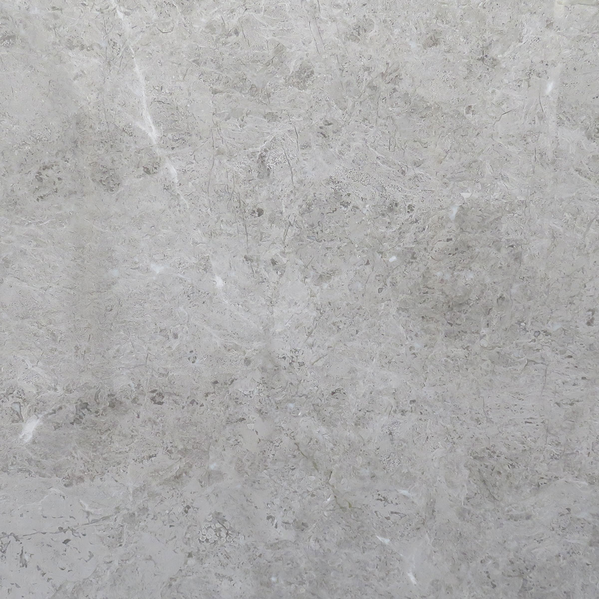 Grey am. Tundra Grey. Tundra Grey limestone. Metamar Tundra Grey. Temmer Marble плитка.